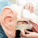 Why Vestibular Rehabilitation May Not Work for Brain Injuries